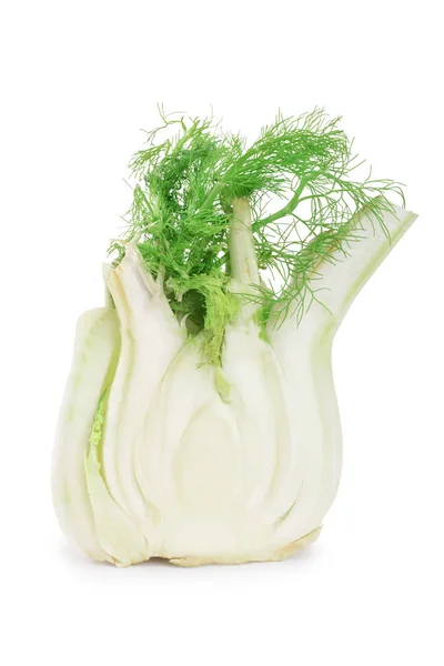 Bulbo de hinojo. Bulbo de hinojo fresco único con hojas sobre fondo blanco — Foto de Stock