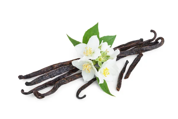 Palos de vainilla con flores y hojas aisladas sobre fondo blanco —  Fotos de Stock