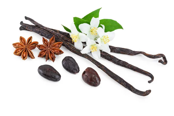 Stik vanili dengan biji kakao dan bunga anise bintang diisolasi pada latar belakang putih — Stok Foto