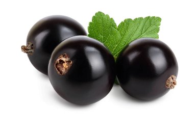 Beyaz arka plan üzerinde izole yaprak ile üç Siyah frenk üzümü
