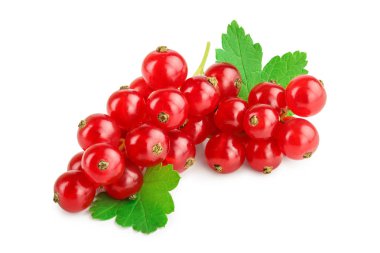 Beyaz arka planda yapraklı kırmızı frenk üzümü.