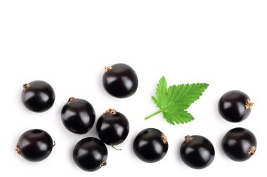 beyaz arka plan üzerinde izole yaprak ile siyah frenk üzümü. Üst te. Düz döşeme deseni. Metniniz için alan