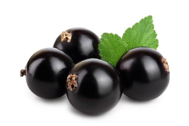 Beyaz arka plan üzerinde izole yaprak ile dört Siyah frenk üzümü