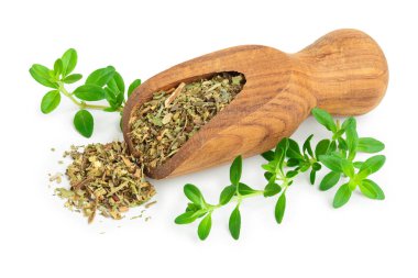 Kurutulmuş kekik yaprakları ahşap kepçe, taze kekik beyaz arka plan üzerinde izole ile. Üstte görüntü