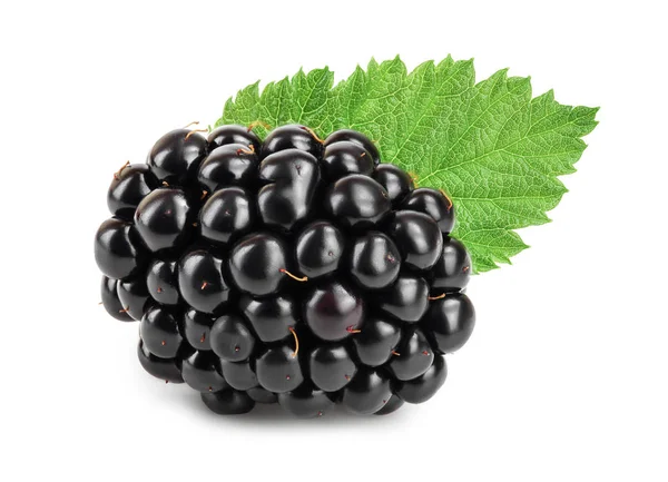 BlackBerry z liść na białym tle na białe tło zbliżenie — Zdjęcie stockowe