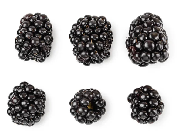在白色背景特写上隔离的黑莓 — 图库照片
