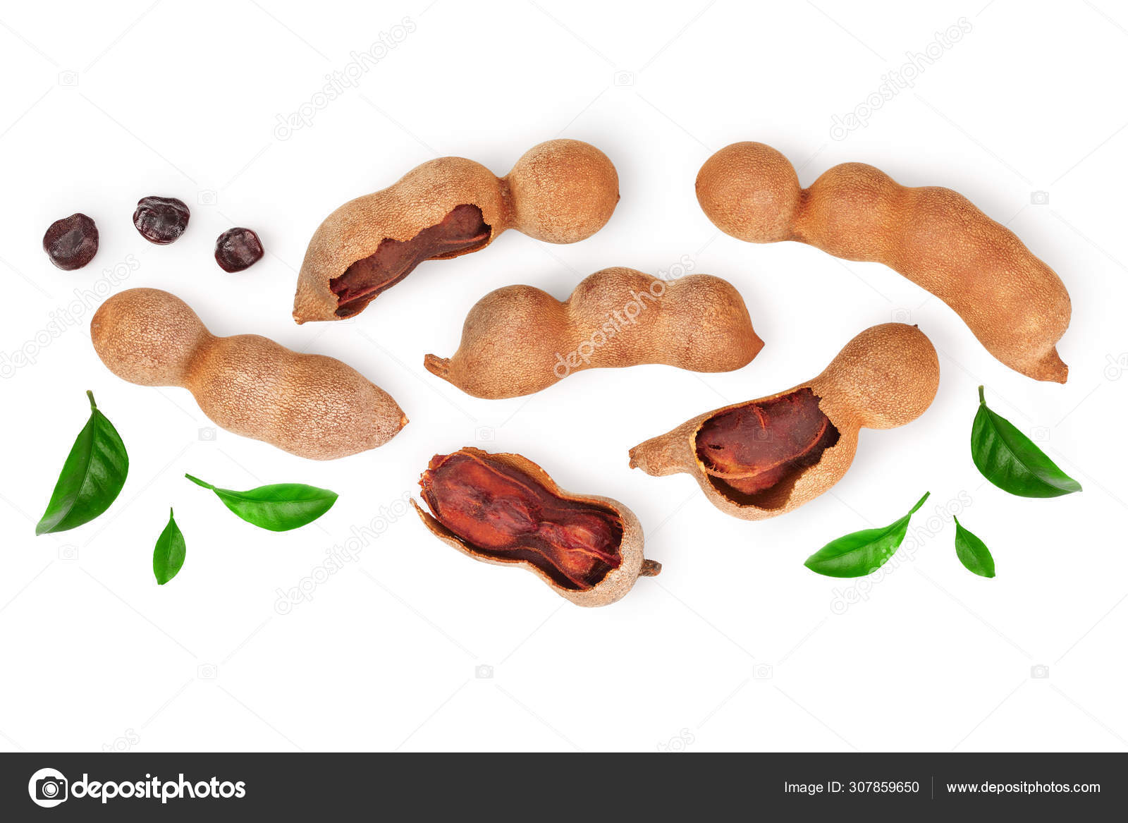 Tamarind Fruit With Leaf And Seed Isolated On White Background With Copy Space For Your Text Top View Flat Lay Stock Photo Image By C Kolesnikovserg