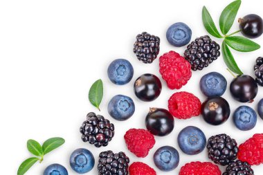 kopya alanı metniniz için beyaz zemin üzerine izole böğürtlen böğürtlen ahududu siyah frenk üzümü. Üstten görünüm. Düz yatıyordu desen