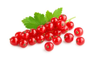 Beyaz arka planda yapraklı kırmızı frenk üzümü.