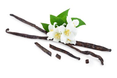 Çiçek ve yaprak beyaz arka plan üzerinde izole ile vanilya çubukları