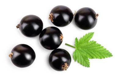 yaprak beyaz arka plan üzerinde izole siyah frenk üzümü. Üstten görünüm. Düz yatıyordu desen