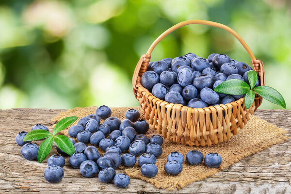 fresh ripe blueberry in wooden basket on table and white background