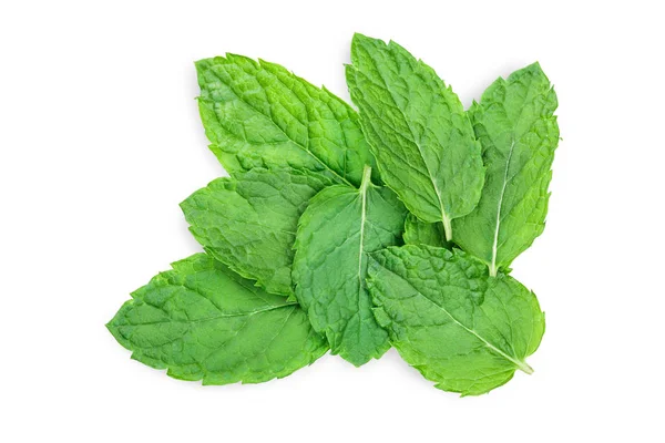 Fresh green mint leaves isolated on white background, top view. Flat lay — Stock Photo, Image
