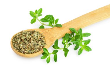 Kurutulmuş kekik tahta kaşıkta yaprakları, taze kekik beyaz arka plan üzerinde izole ile. Üstte görüntü