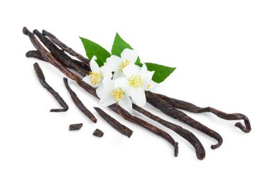 Çiçek ve yaprak beyaz arka plan üzerinde izole ile vanilya çubukları