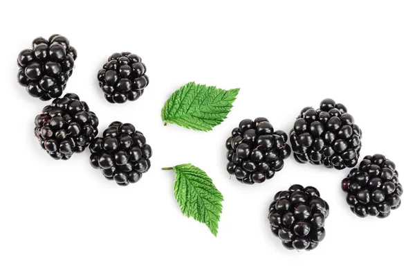黑莓与叶上白色背景特写孤立 — 图库照片
