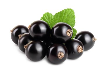 Beyaz zemin üzerinde yaprak izole siyah frenk üzümü