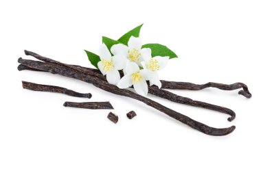 Çiçek ve yaprak beyaz arka plan üzerinde izole ile vanilya çubukları