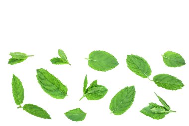 Beyaz arka planda izole edilmiş taze yeşil nane yaprakları, üst manzara. Düz yatıyordu. Metnin için kopyalama alanı ile