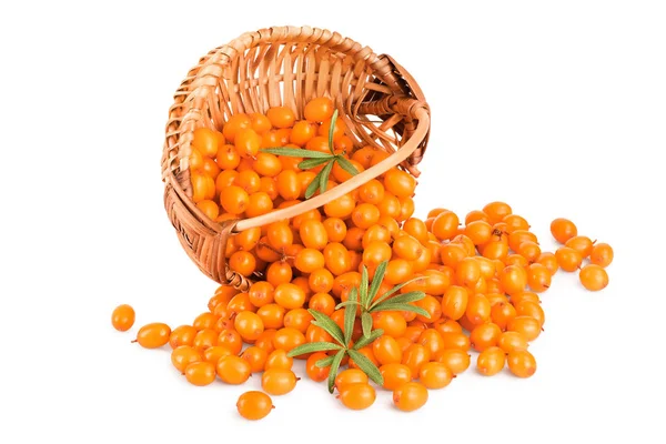 Sea buckthorn. Fresh ripe berry with leaves in wicker basket isolated on white background macro — Stock Photo, Image