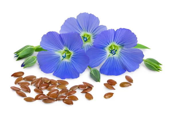 Beyaz arkaplandaki çiçekli keten tohumları