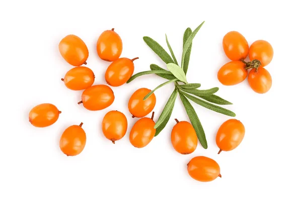 Sea buckthorn. Fresh ripe berry with leaves isolated on white background. Top view. Flat lay pattern — Stock Photo, Image