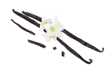 Çiçek ve yaprak beyaz arka plan üzerinde izole vanilya sopalarla. Üstten görünüm. Düz yatıyordu