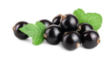 Beyaz zemin üzerinde yaprak izole siyah frenk üzümü