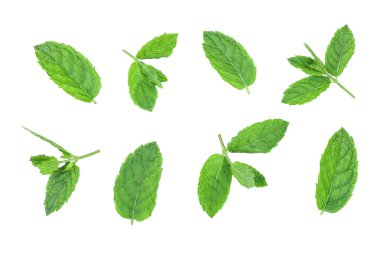 taze yeşil nane izole üzerinde beyaz arka plan, üstten görünüm bırakır. Düz yatıyordu