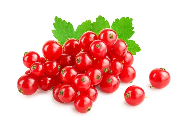 Merah currant berry dengan daun terisolasi pada latar belakang putih — Stok Foto