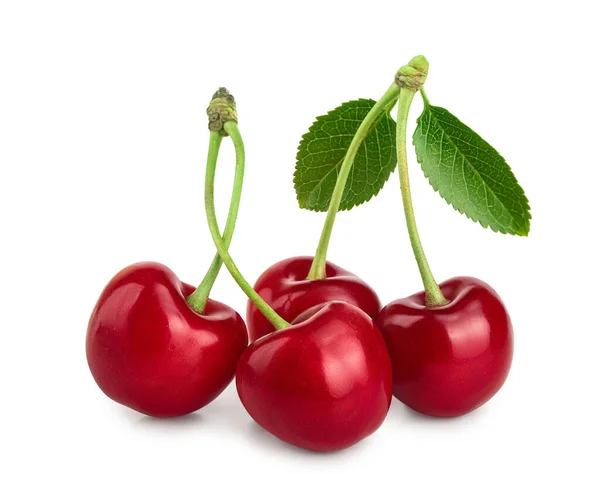 Some cherries with leaf closeup isolated on white background — Stock Photo, Image