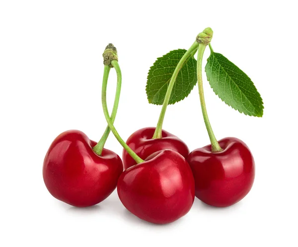 Algunas cerezas con primer plano de la hoja aisladas sobre fondo blanco — Foto de Stock