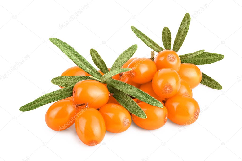 Sea buckthorn. Fresh ripe berry with leaves isolated on white background macro