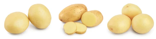 Νεαρή πατάτα απομονωμένη σε λευκό φόντο. Καινούρια σοδειά. Σύνολο ή συλλογή — Φωτογραφία Αρχείου