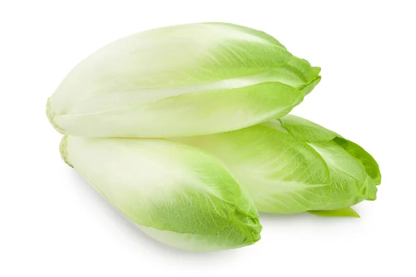 Insalata di cicoria isolata su fondo bianco con percorso di ritaglio e piena profondità di campo. — Foto Stock