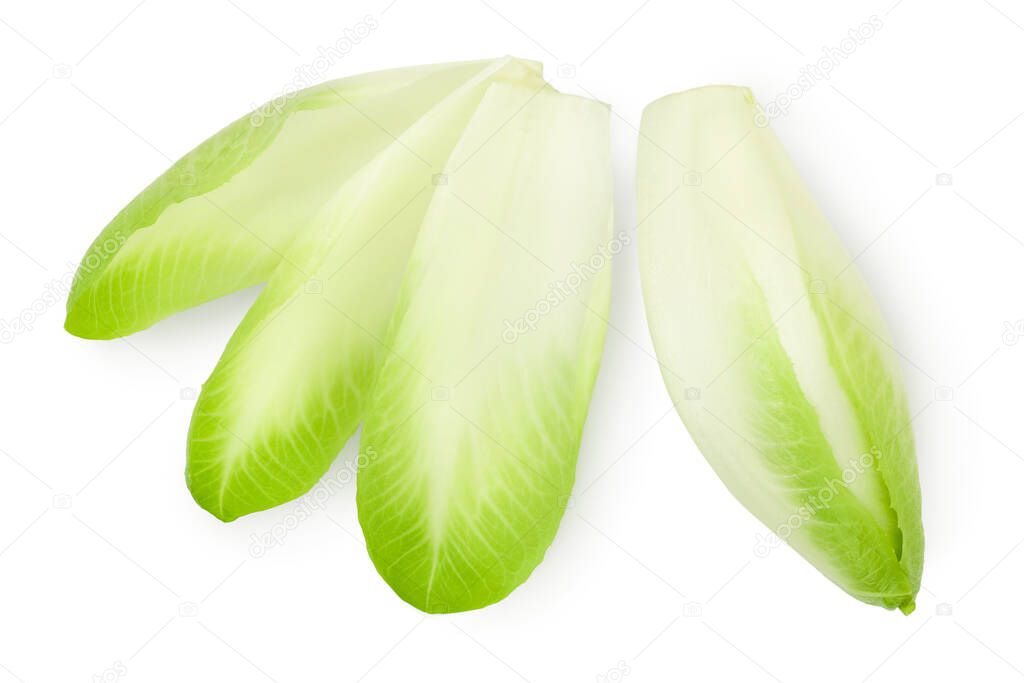 Chicory salad leaves isolated on white background with clipping path and full depth of field. Top view. Flat lay
