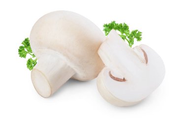 Taze mantar şampiyonu ve kırpma yolu ile beyaz arka planda yarı izole