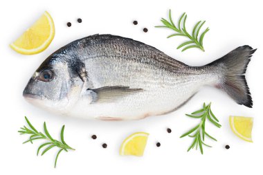 Fish dorado isolated on white background with clipping path and full depth of field. Top view. Flat lay clipart