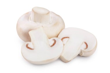 Taze mantar şampiyonu ve kırpma yolu ile beyaz arka planda yarı izole