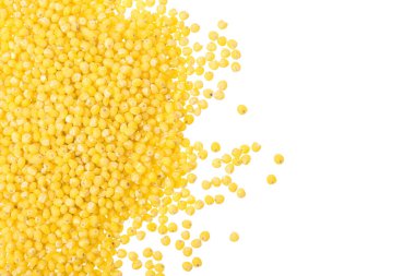 Darı beyaz arka planda izole edildi. Metnin için kopyalama alanı olan üst görünüm