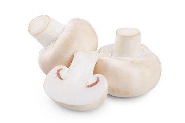 Taze mantar şampiyonu ve kırpma yolu ile beyaz arka planda yarı izole