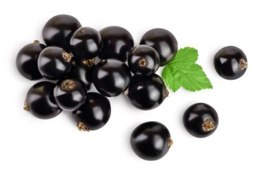 Kırpma yolu ile beyaz arka planda izole yaprakları olan siyah frenk üzümü. Üst Manzara. Düz uzanma deseni