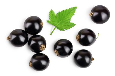 Kırpma yolu ile beyaz arka planda izole yaprakları olan siyah frenk üzümü. Üst Manzara. Düz uzanma deseni