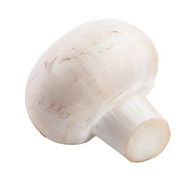 Beyaz arkaplanda kırpma yolu ile izole taze mantar şampiyonu