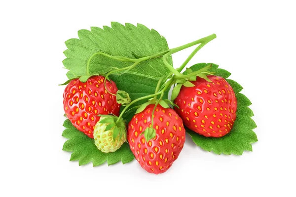 Strawberry isolated on white background. Fresh berry with clipping path and full depth of field. Top view. Flat lay — Stock Photo, Image