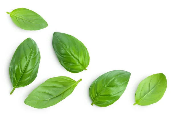 Feuille de basilic fraîche isolée sur fond blanc avec chemin de coupe et pleine profondeur de champ. Vue supérieure avec espace de copie pour votre texte. Pose plate — Photo