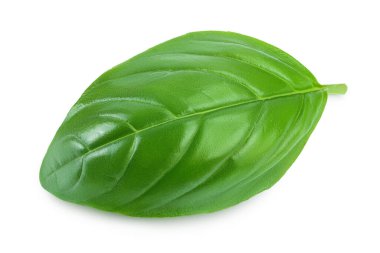 Taze fesleğen yaprağı kırpma yolu ve tam derinlikteki beyaz arkaplanda izole edildi