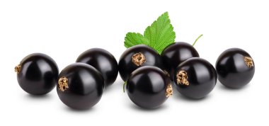 Kırkma yolu ve tam derinlik alan ile beyaz arkaplanda izole yapraklar ile siyah frenk üzümü