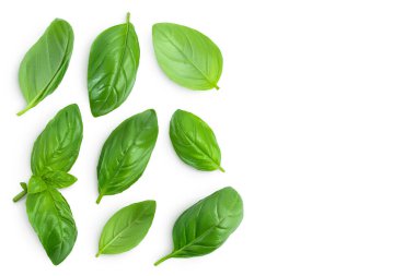 Kırpma yolu ile beyaz arkaplanda izole edilmiş taze fesleğen yaprağı. Metnin için kopyalama alanı olan üst görünüm. Düz yatıyordu