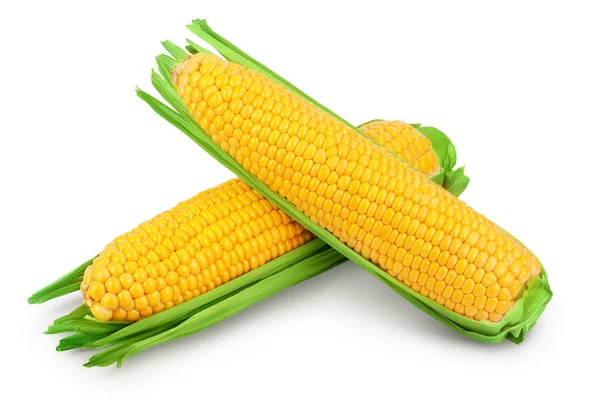Ear of corn isolated on a white background. Clipping path and full depth of field — Stock Photo, Image